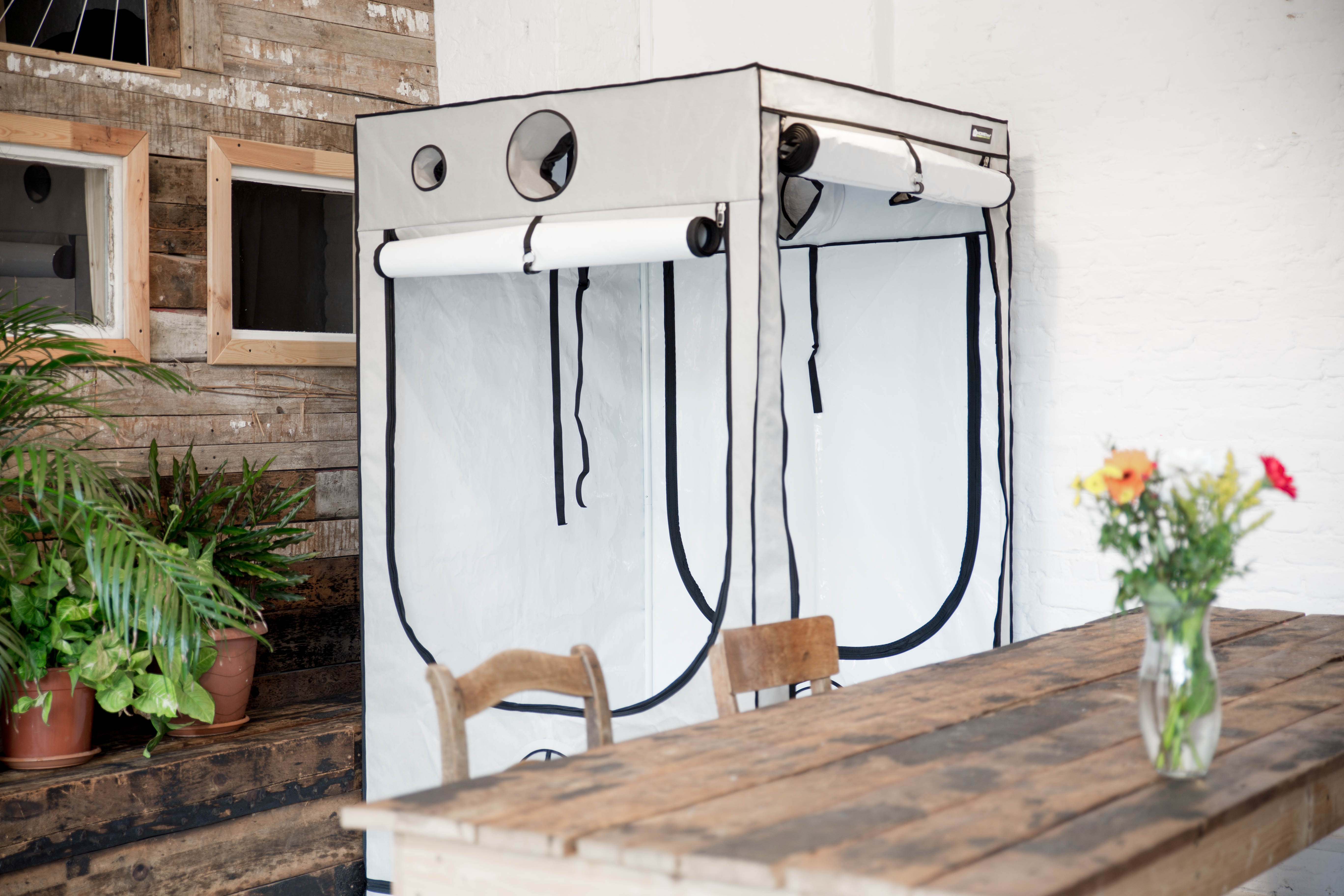 HOMEBOX AMBIENT Q30