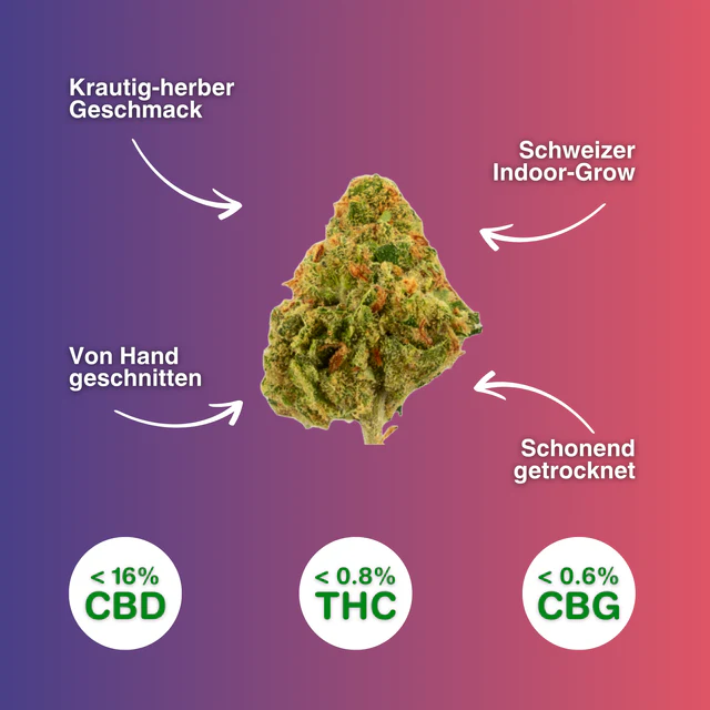 Green Passion - Amnesia Haze Popcorn 10g - CBD Blüten Indoor
