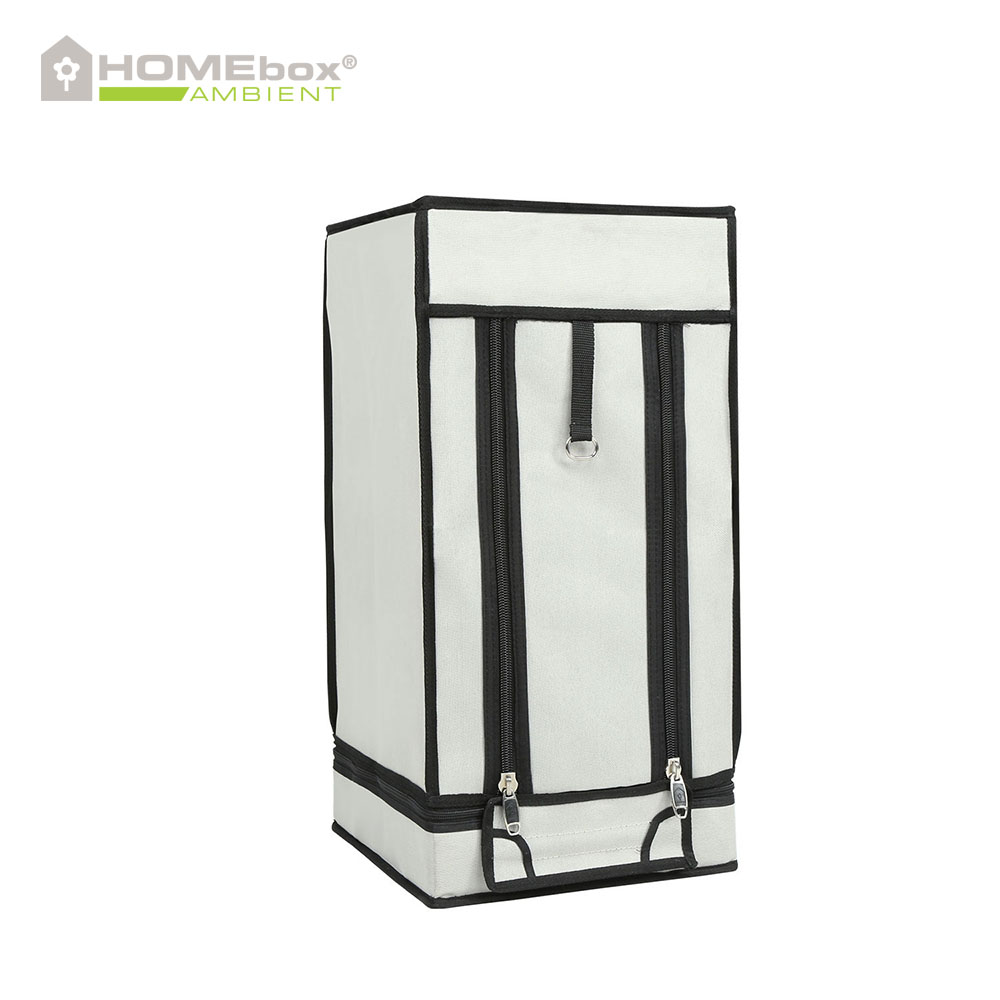 HOMEBOX AMBIENT Q30