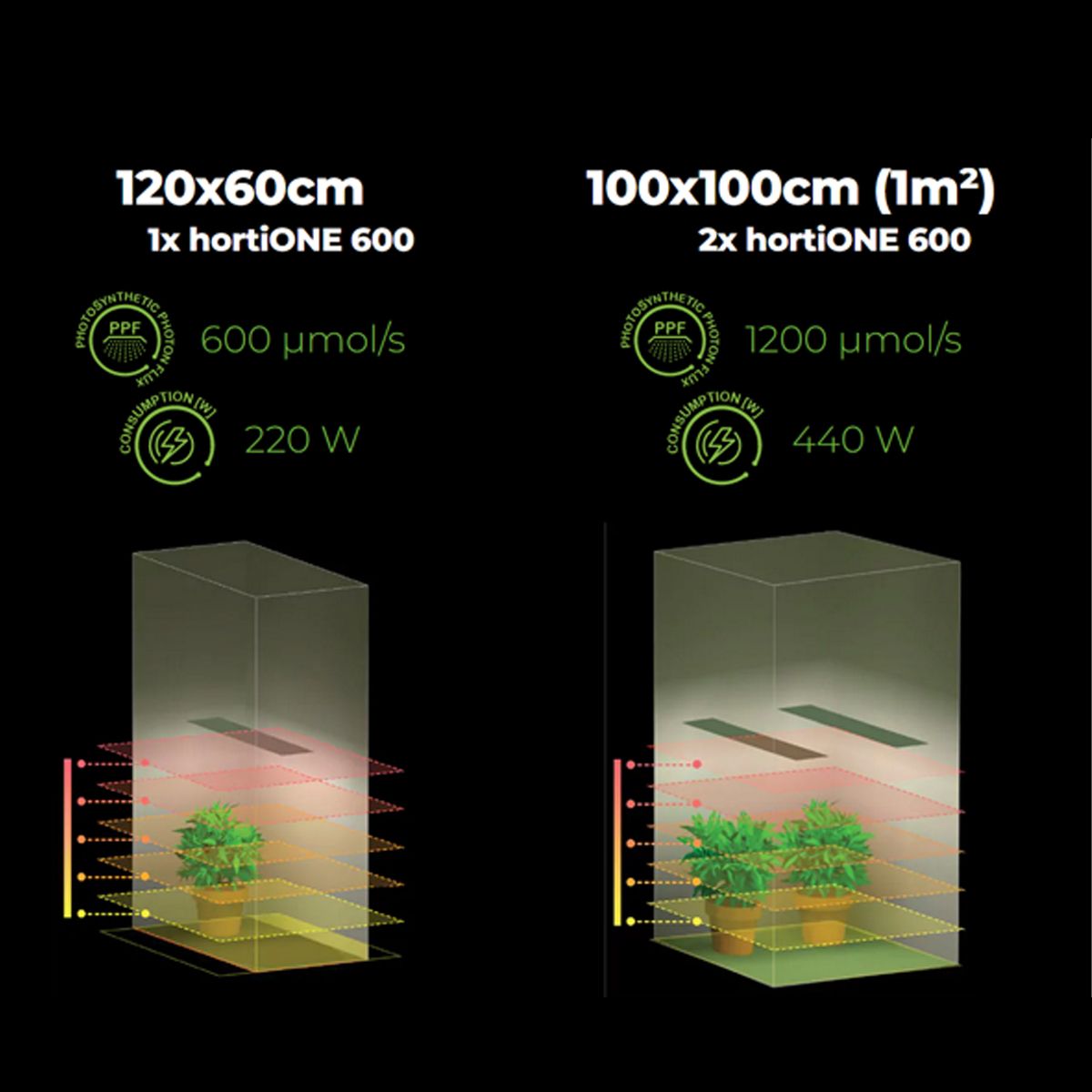 Hortione LED 600 220W 610µmol/s