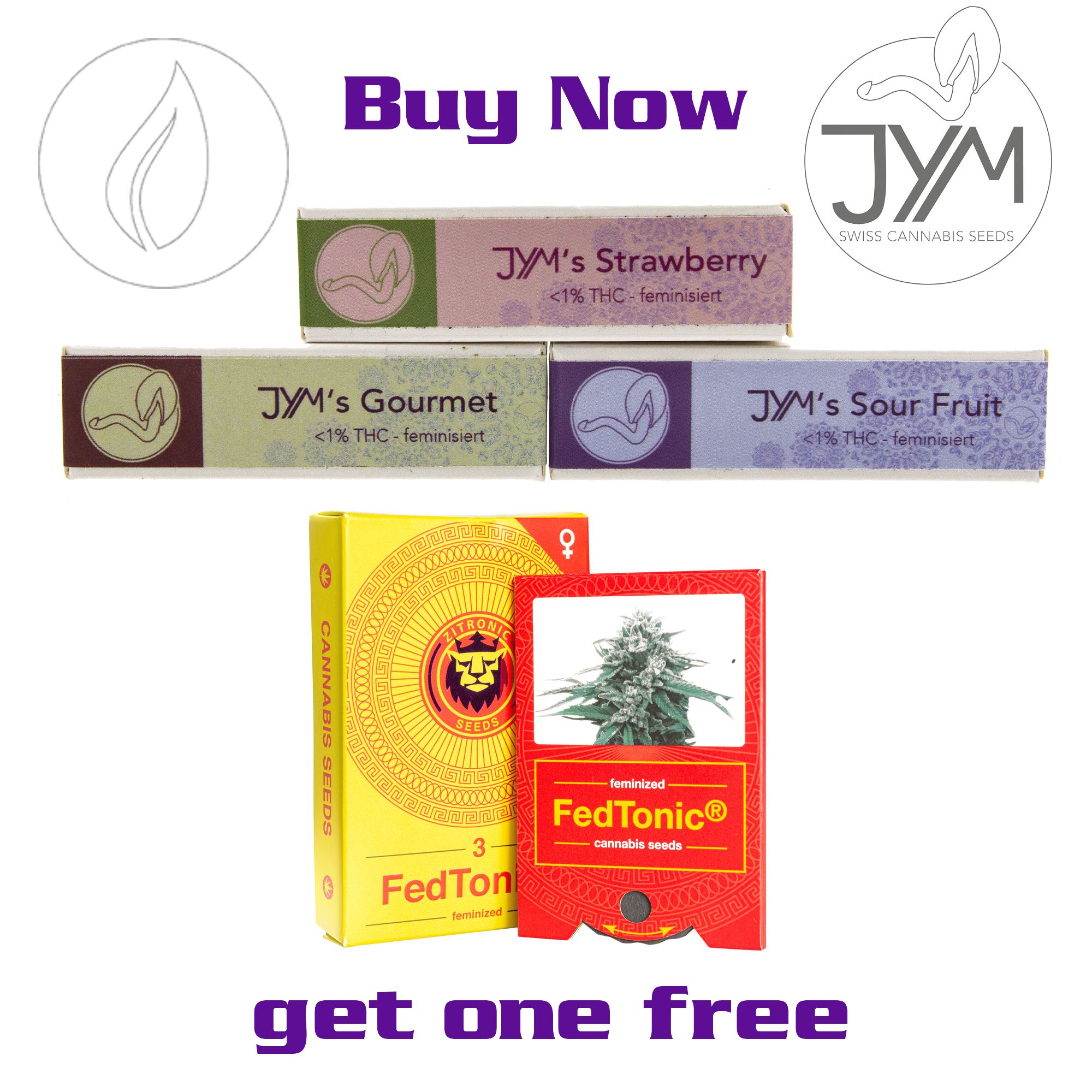 JYMS Seeds Spring Special Edition2