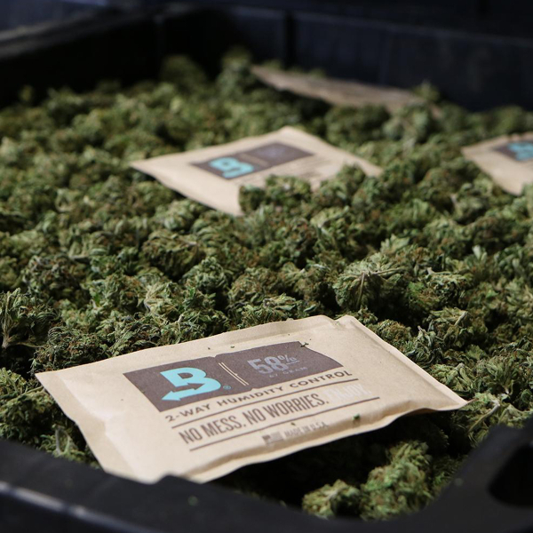 Boveda Over Wrapped 62% Humidy Pack 67g 100pcs